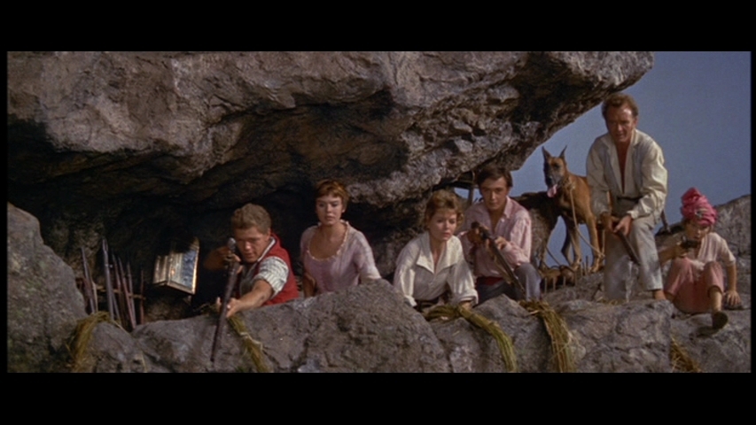 Les Robinsons Des Mers Du Sud